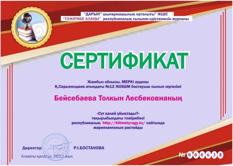 Бейсебаева Толқын Лесбековна