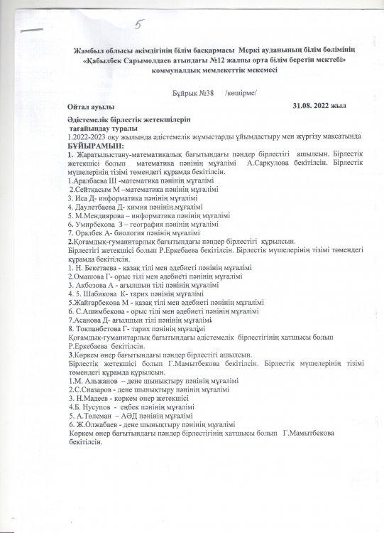 Әдістемелік бірлестік жетекшілерін тағайындау туралы